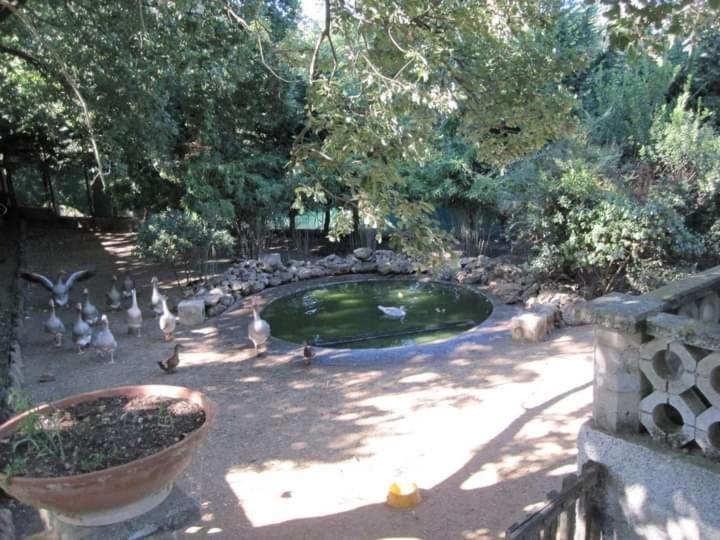 Parco Delle Streghe Villa Scarlino Exterior photo